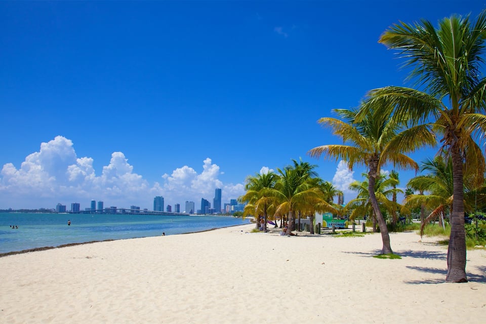 A beach with palm trees and a city skyline in the background.