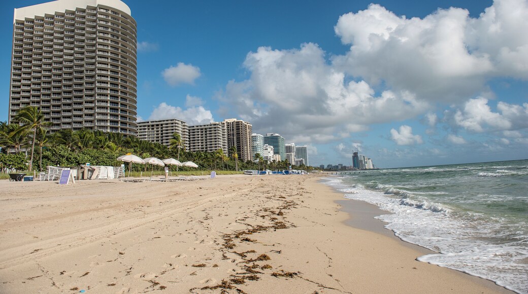 MiamiBeach_BalHarbourBeach_553248621532653060-0308