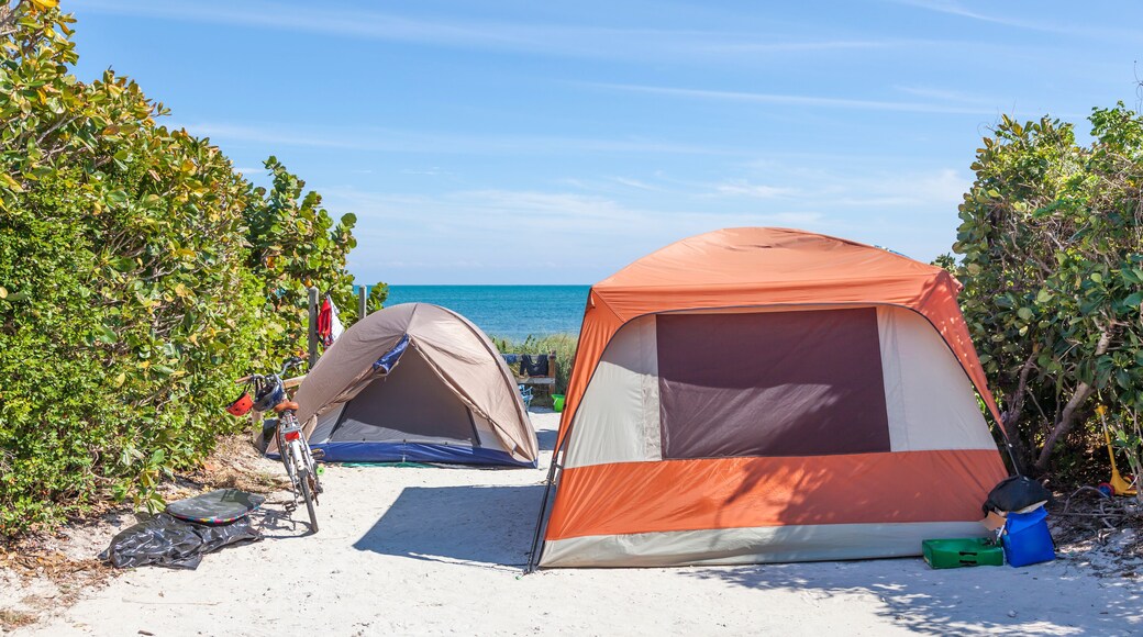 佛羅里達露營冒險