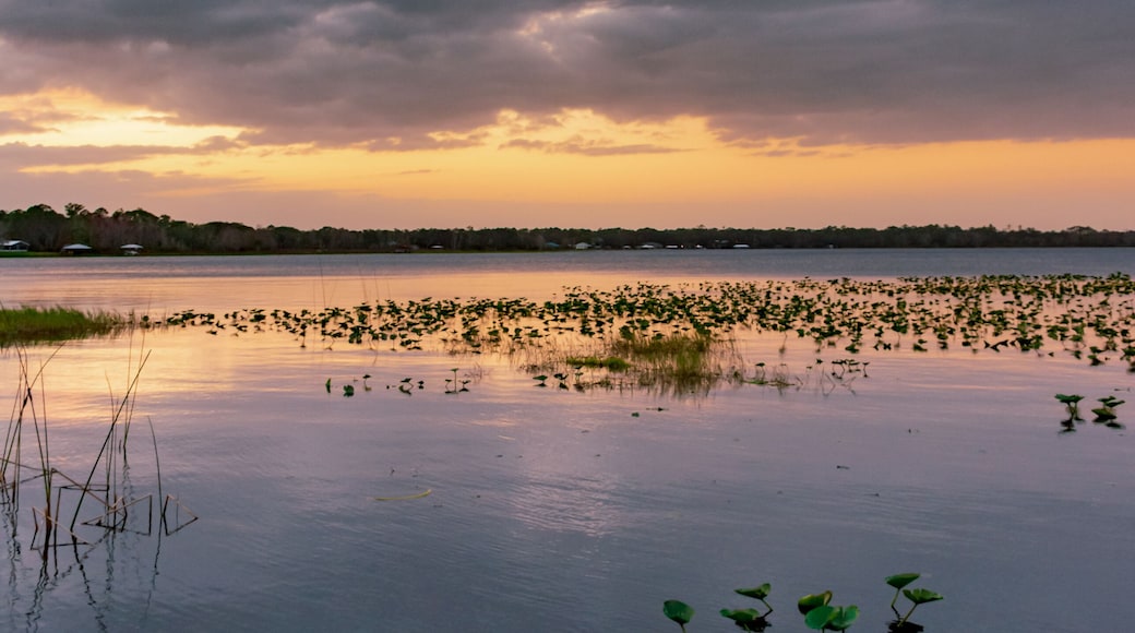 レイク・ジョセフィン