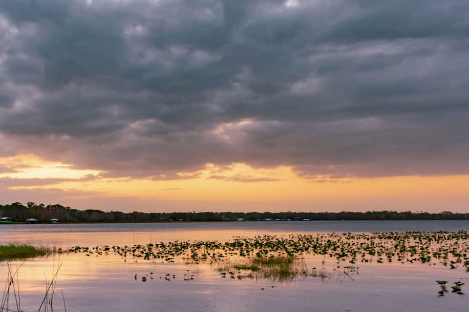 Un lago tranquilo con lirios y un cielo nublado al atardecer.