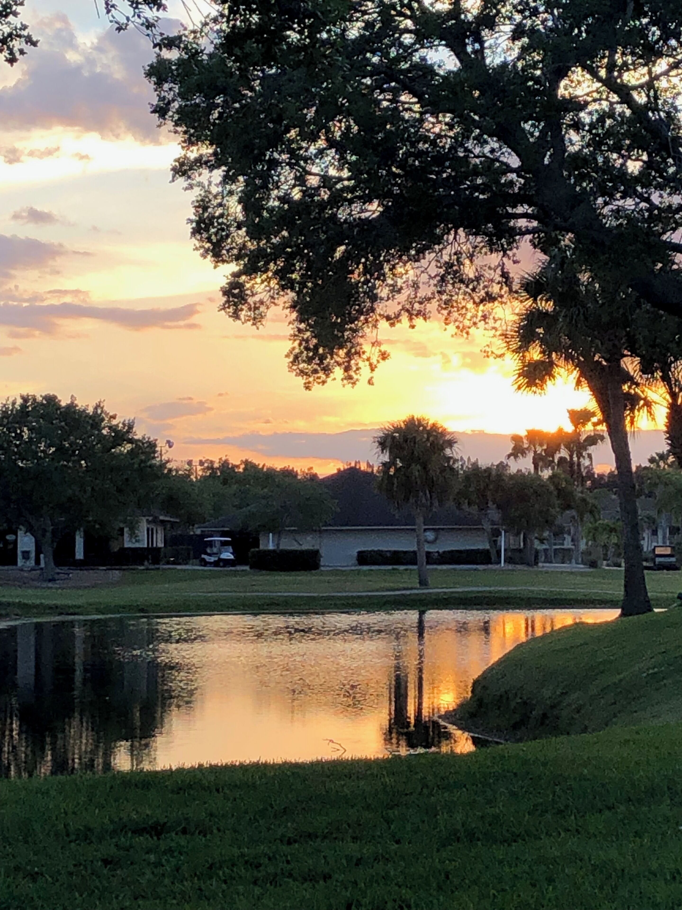 Just a beautiful evening for walking.