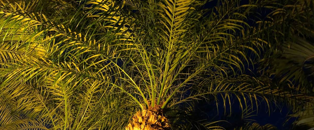 Walking the neighborhood and looking for different perspectives. #Perspective Photo Contest.