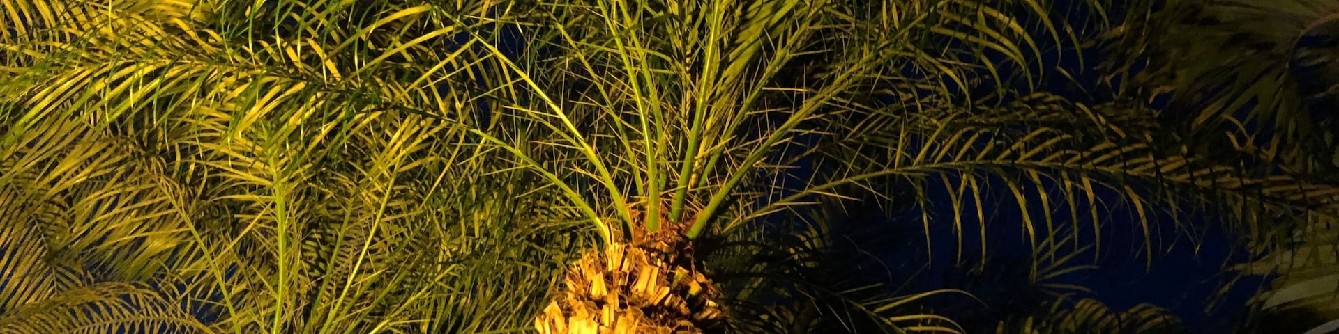 Walking the neighborhood and looking for different perspectives. #Perspective Photo Contest.