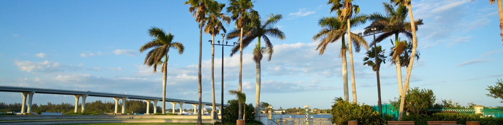 A park with palm trees, a colorful pavement design, and a bridge in the background.