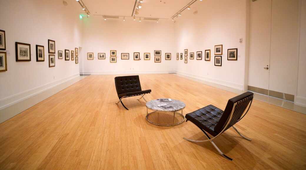 Vero Beach Museum of Art which includes interior views and art