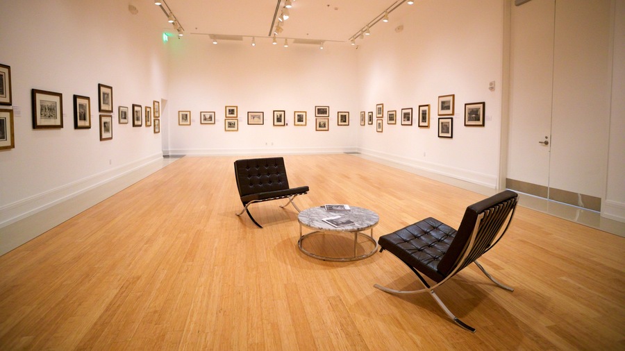 Vero Beach Museum of Art which includes interior views and art