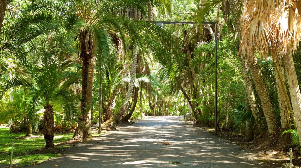 Botanical Gardens showing a garden