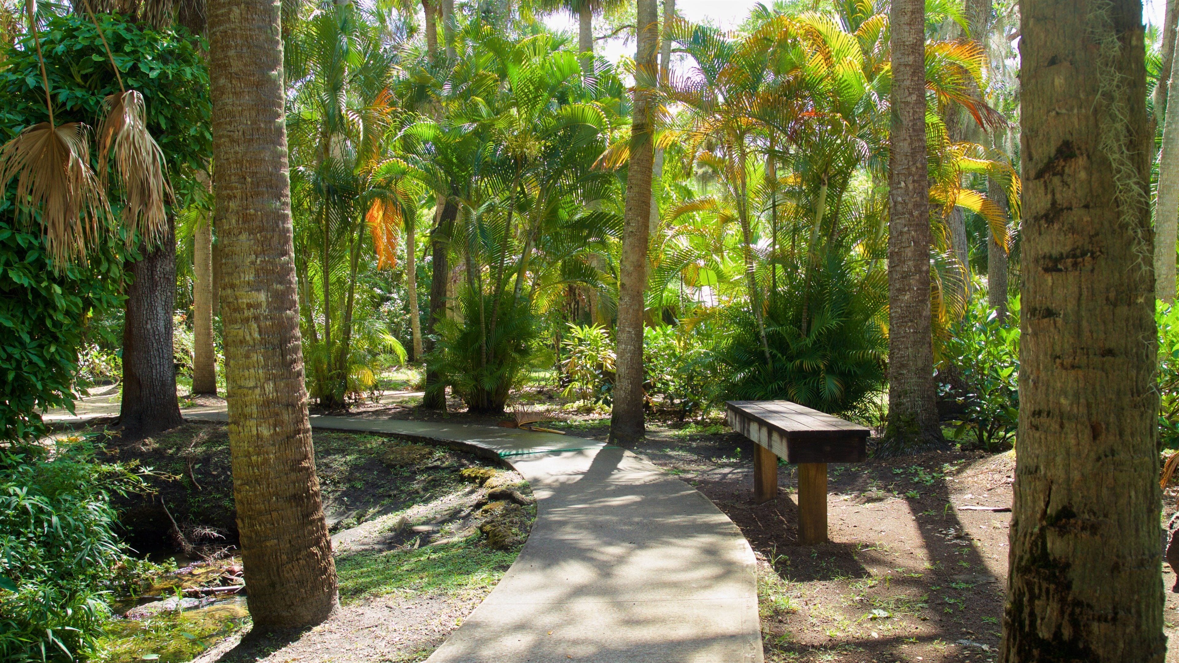 Botanical Gardens showing a park