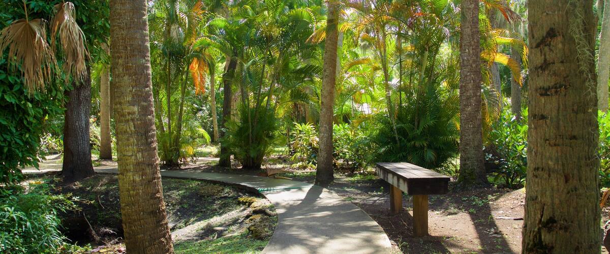 Botanical Gardens showing a park