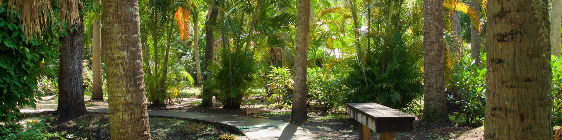 Botanical Gardens showing a park