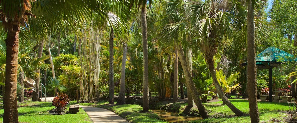 Joy and Gordon Patterson Botanical Garden which includes a garden