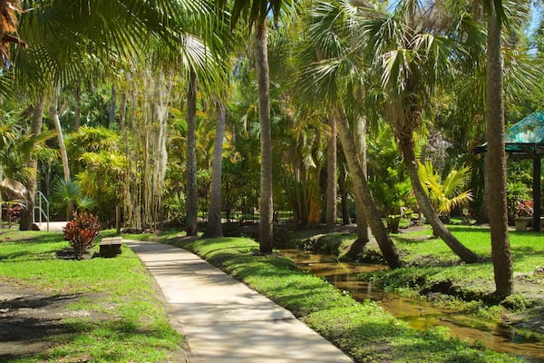 Joy and Gordon Patterson Botanical Garden which includes a garden