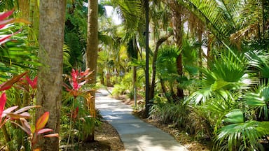 Botanical Gardens featuring a garden