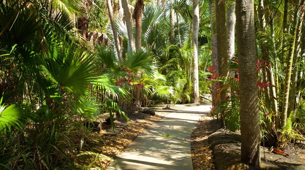 Botanical Gardens which includes a garden