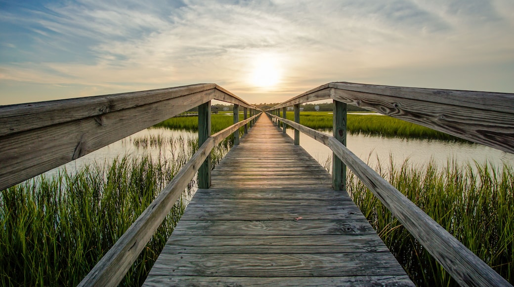 Barrier Island Center