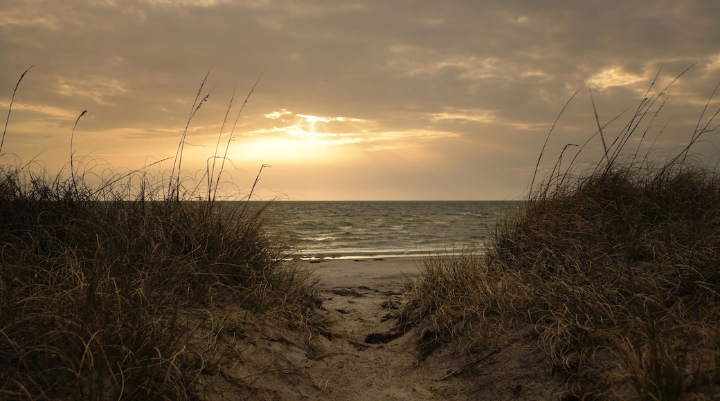 Barrier Island Center