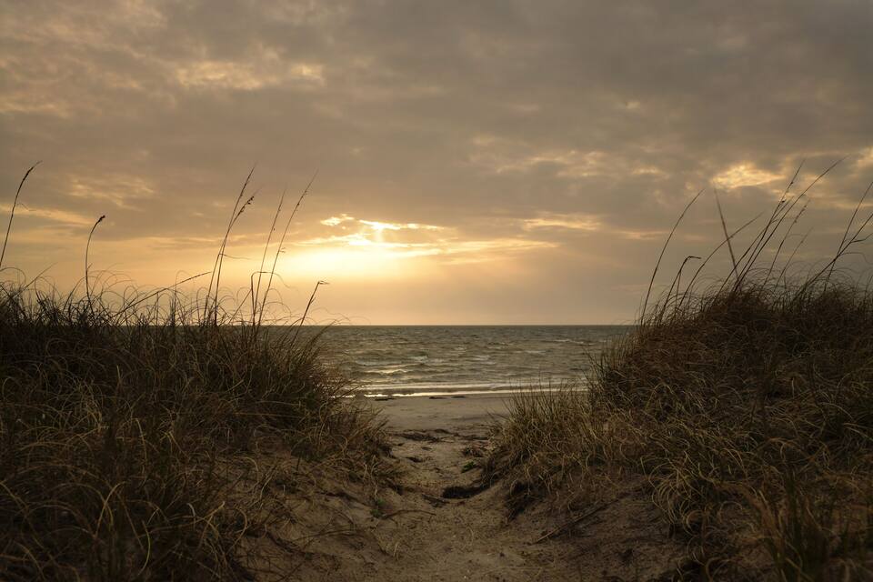 A beach path leading to the sea with tall grasses on either side.
