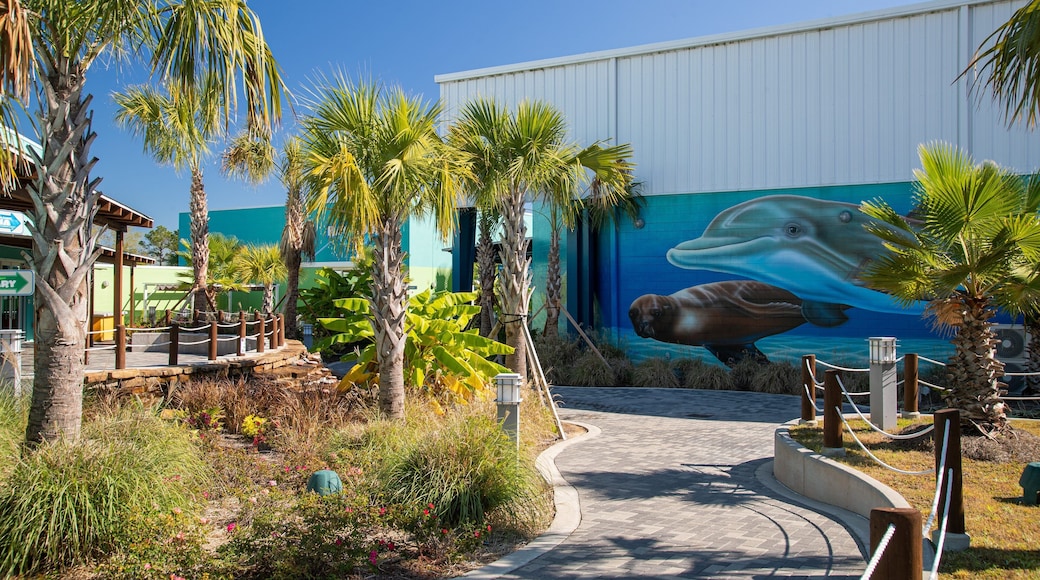 Institute for Marine Mammal Studies which includes outdoor art