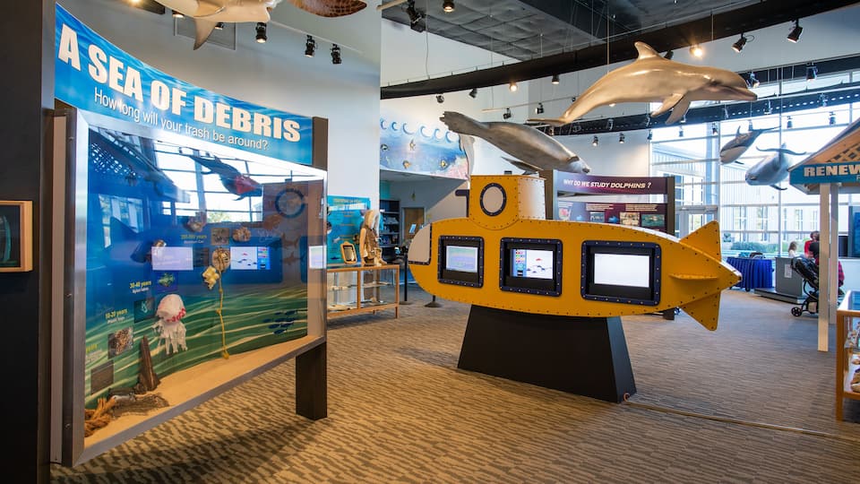 Institute for Marine Mammal Studies which includes interior views and marine life