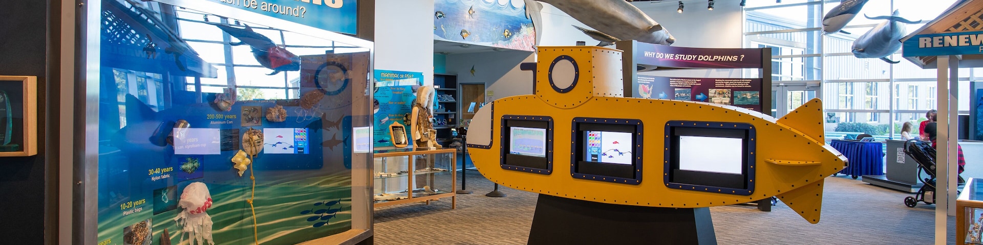 Institute for Marine Mammal Studies which includes interior views and marine life