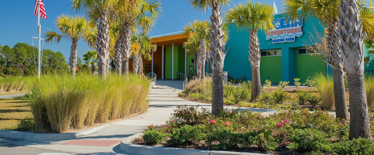 A building with a green and orange facade, palm trees, and a clear blue sky.