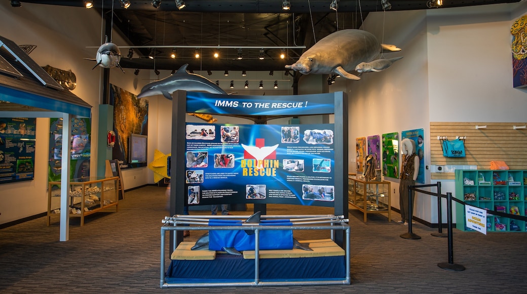 Institute for Marine Mammal Studies showing signage and interior views