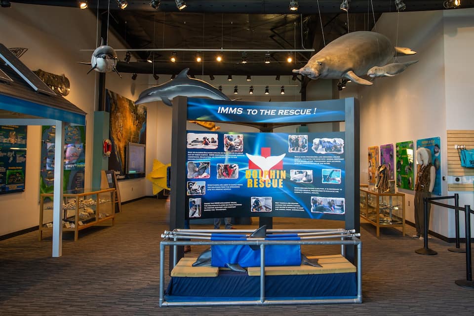 A dolphin rescue exhibit with informational posters, a dolphin in a tank, and various marine life displays.