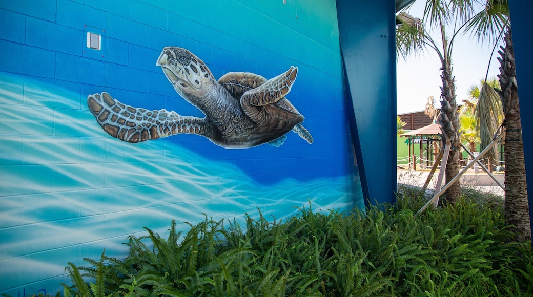 Institute for Marine Mammal Studies featuring outdoor art