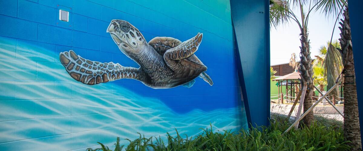 Institute for Marine Mammal Studies featuring outdoor art