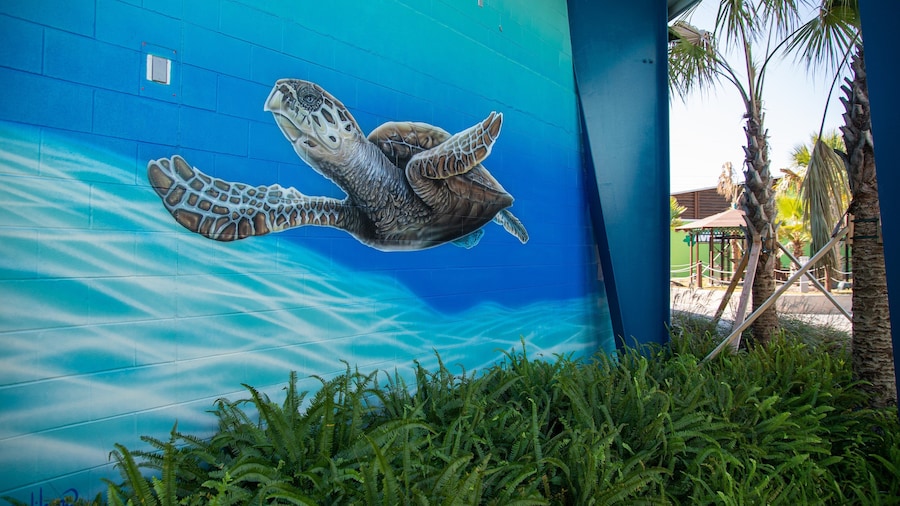 Institute for Marine Mammal Studies featuring outdoor art