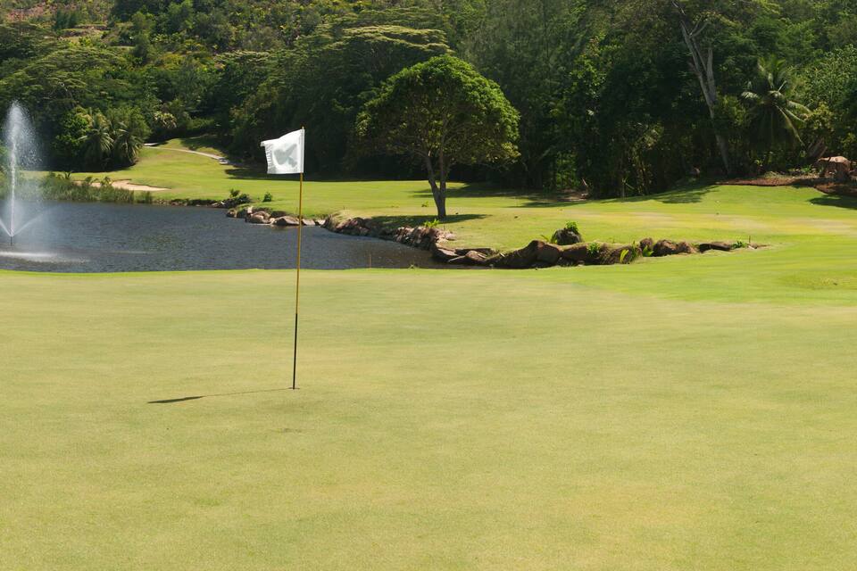 Un parcours de golf avec un étang, un drapeau et des arbres.