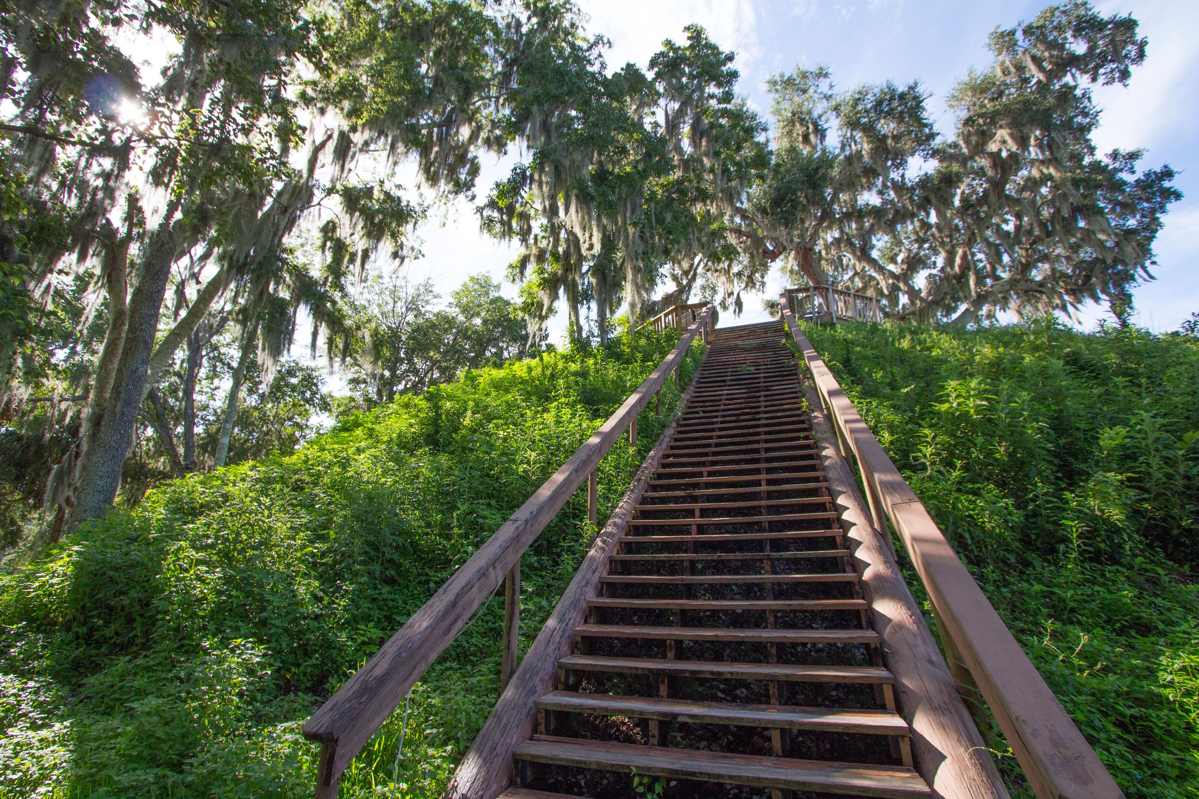 Crystal River Archaeological State Park, Temple Mound.