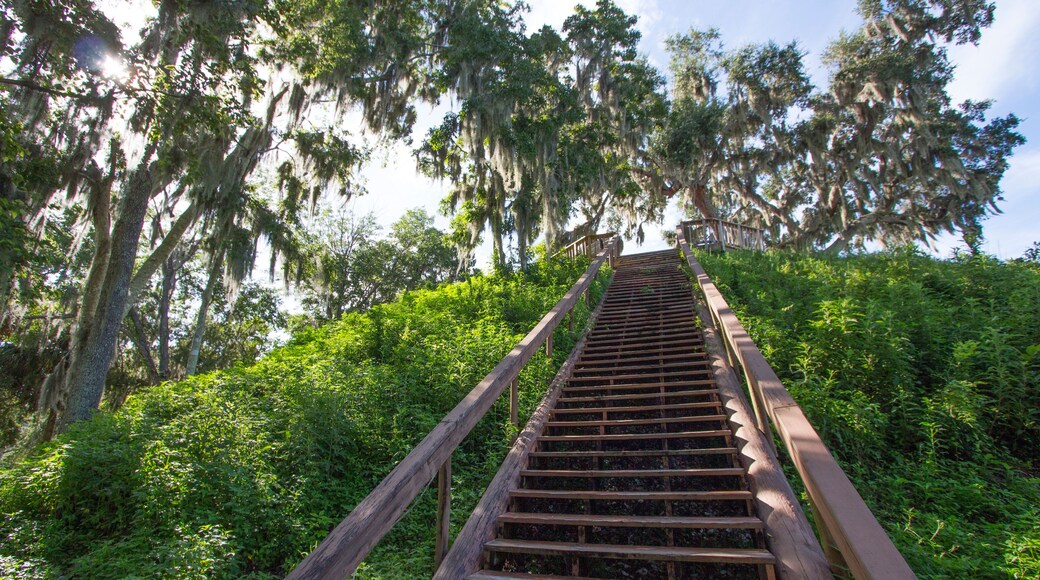 Indian Shell Mound Park