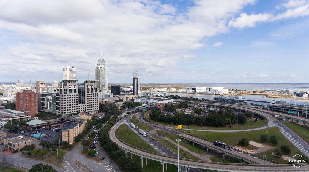 Aerial view of downtown Mobile, Alabama in January 2019