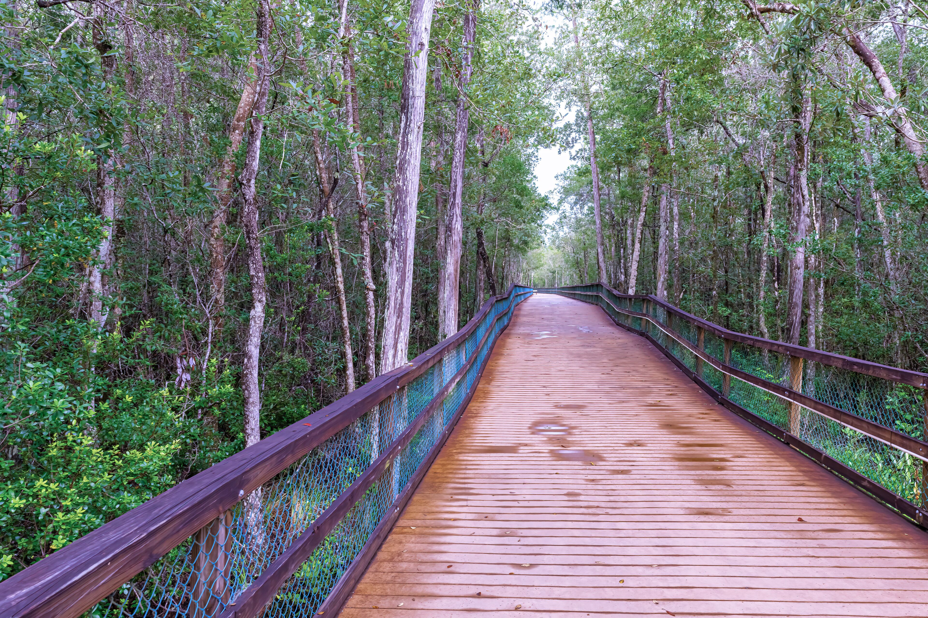 turkey creek walking path
