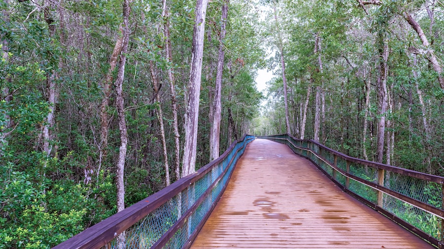 土耳其溪自然步道