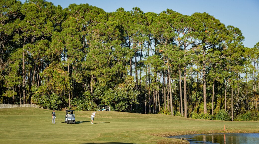 Emerald Bay Golf Club which includes golf as well as a couple
