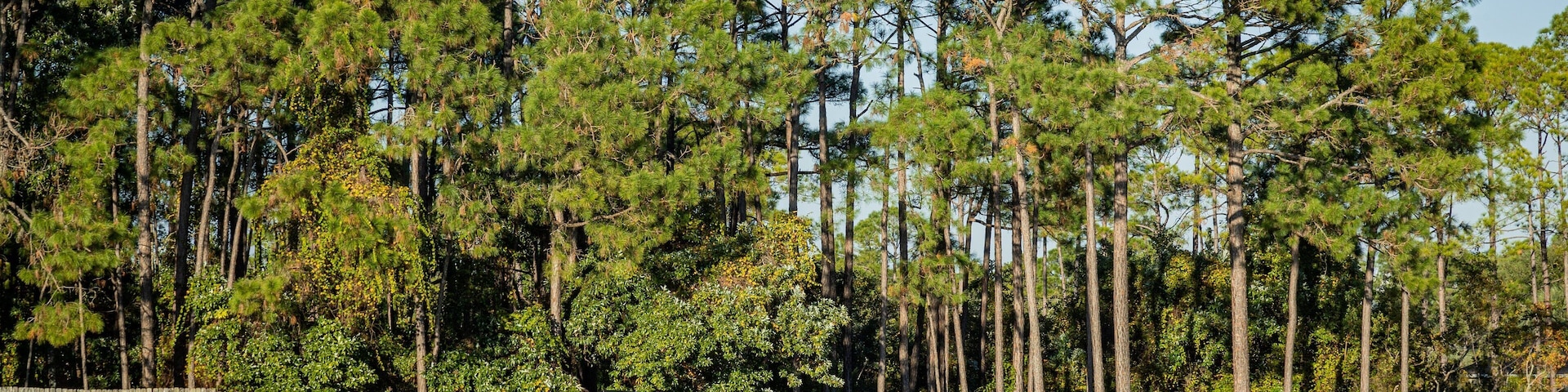 Emerald Bay Golf Club which includes golf as well as a couple