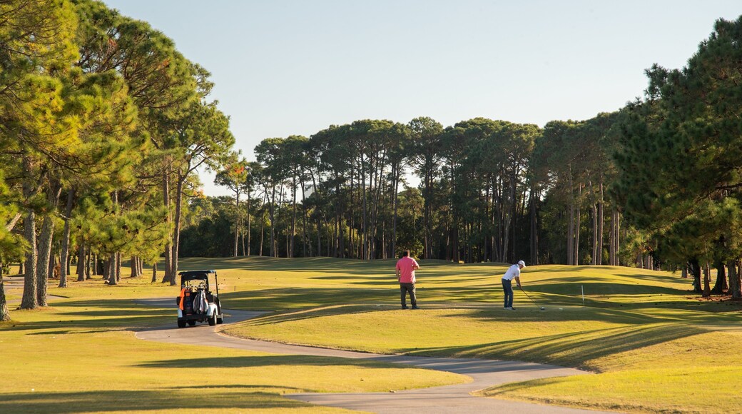 Emerald Bay Golf Club featuring golf as well as a couple