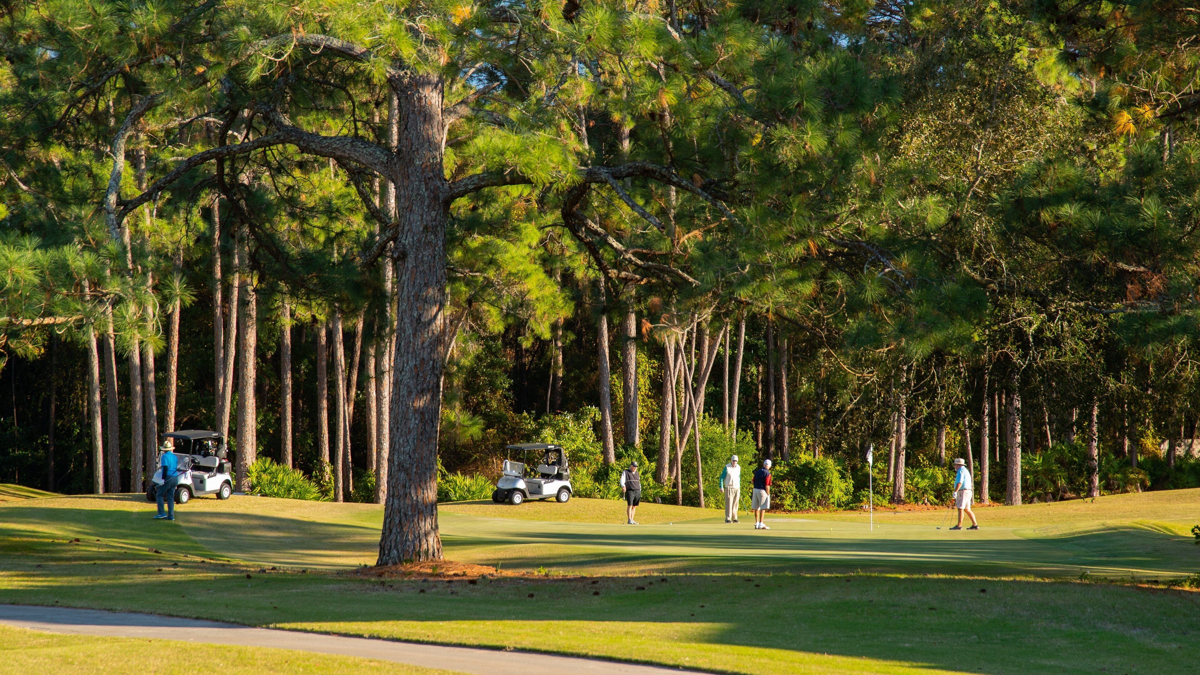 Emerald Bay Golf Club which includes golf as well as a small group of people