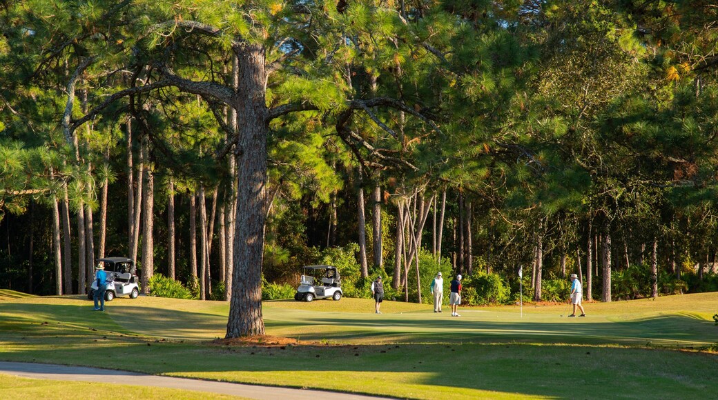 Emerald Bay Golf Club which includes golf as well as a small group of people