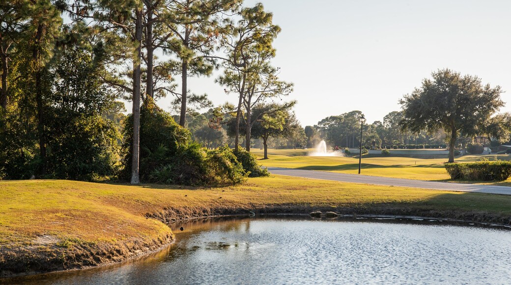 Emerald Bay Golf Club showing golf and a pond