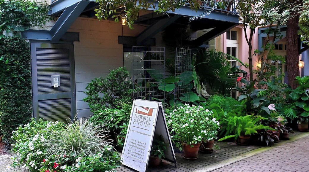 Newbill Collection by the Sea