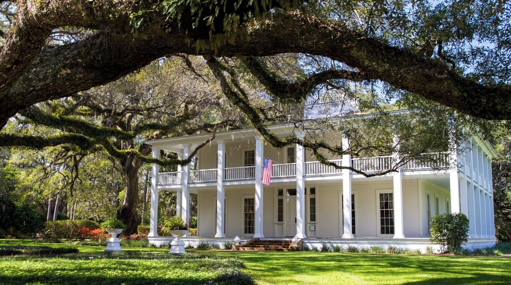 Great place to go walk around while at the beach