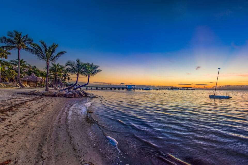 A beach with palm trees, a pier, and a boat at sunset.