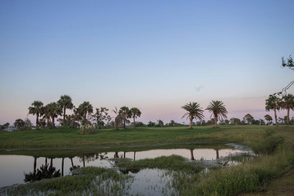 A calm water body reflecting palm trees and a clear sky.
