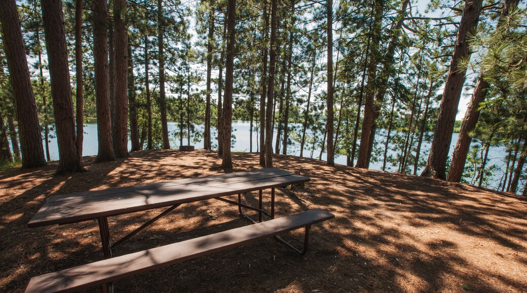 The walk-in campsite at Star Lake State Park, near Star Lake, Wisconsin in Vilas County, is shaded from the numerous surrounding pines in late June.