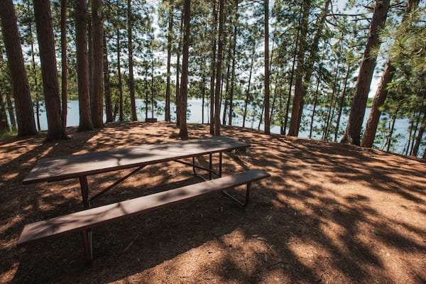 The walk-in campsite at Star Lake State Park, near Star Lake, Wisconsin in Vilas County, is shaded from the numerous surrounding pines in late June.