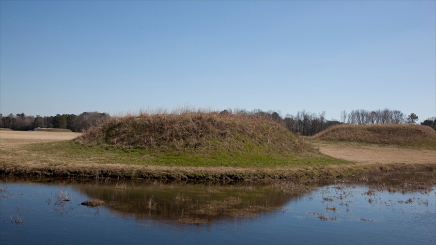 Tuscaloosa featuring tranquil scenes and a lake or waterhole